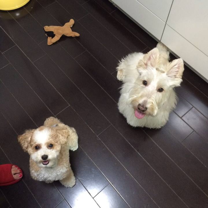 Fad036f2 b388 4e77 b2a6 5c3410dc3cb9