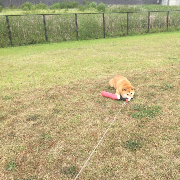 Fad0ae14 7f46 4a8e b5b3 5915d94b6cd6