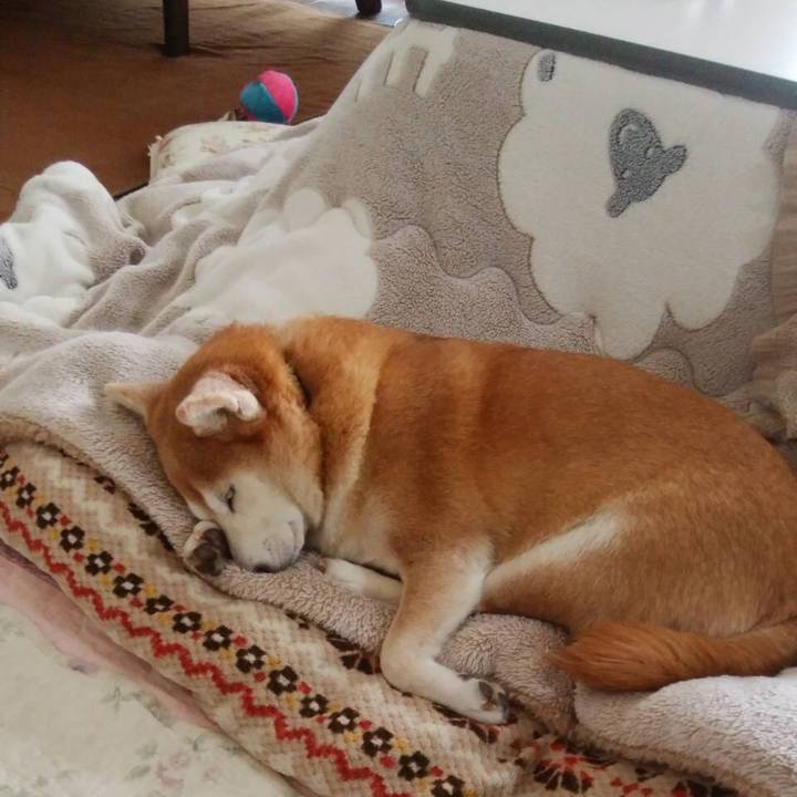 Fad0dd6d b458 4b81 a69d af71b39ce1cf