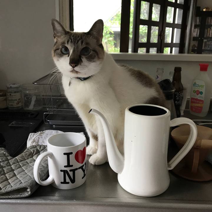 Fad17588 a62f 4805 81f8 62bc60d4cfa2