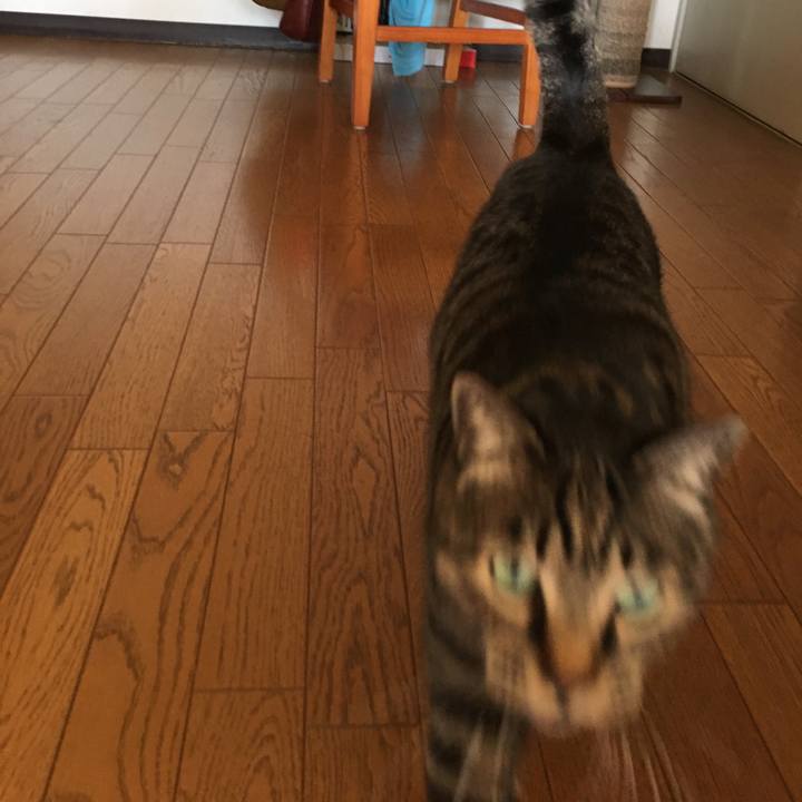 Fad1c2da 8095 4b9d 9ed0 9d6aca7620f3