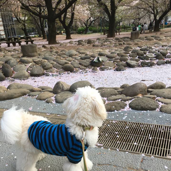 Fad23b84 b157 4ea6 b5c0 51c9063557c1