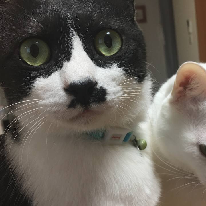 Fad30a42 180a 43de b550 40045ae475c5