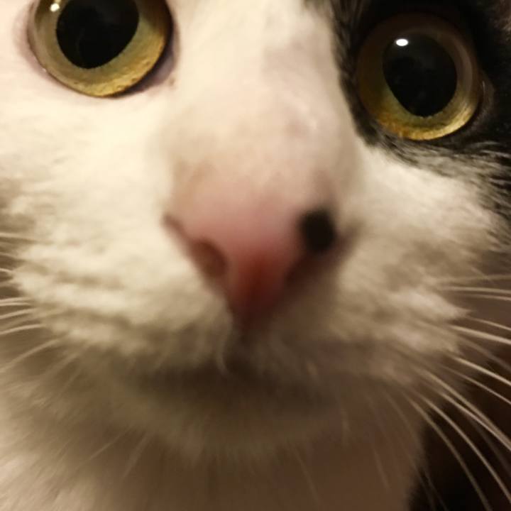 Fad378bf 12f5 4dda 979c f24a86dfe93f