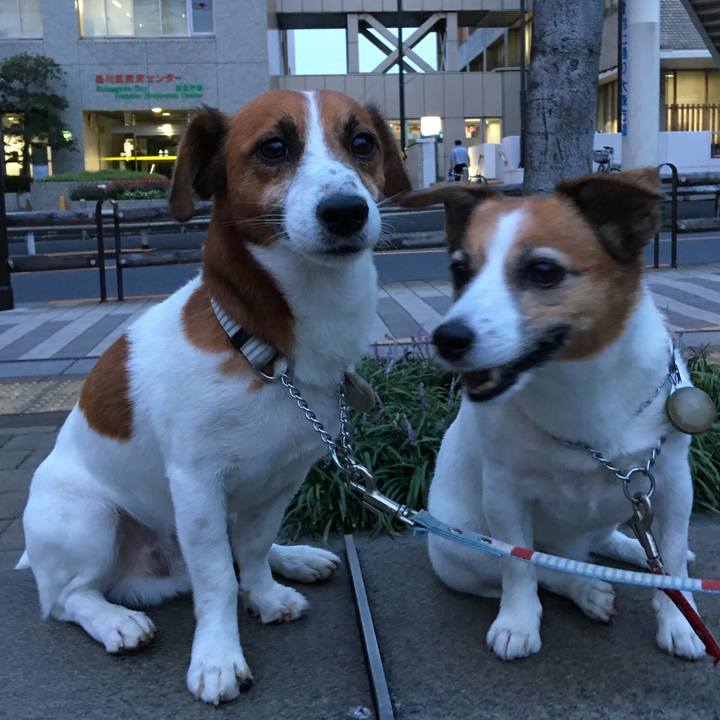 Fad3aa5c 3282 4790 9395 80f839dc4442