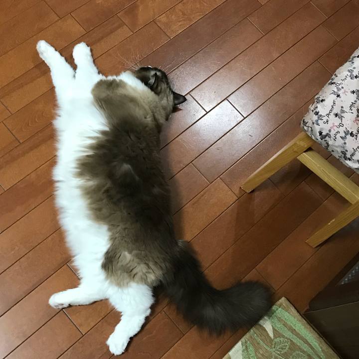 Fad3e99a 4c6e 46d8 b2e5 f05d6b875201