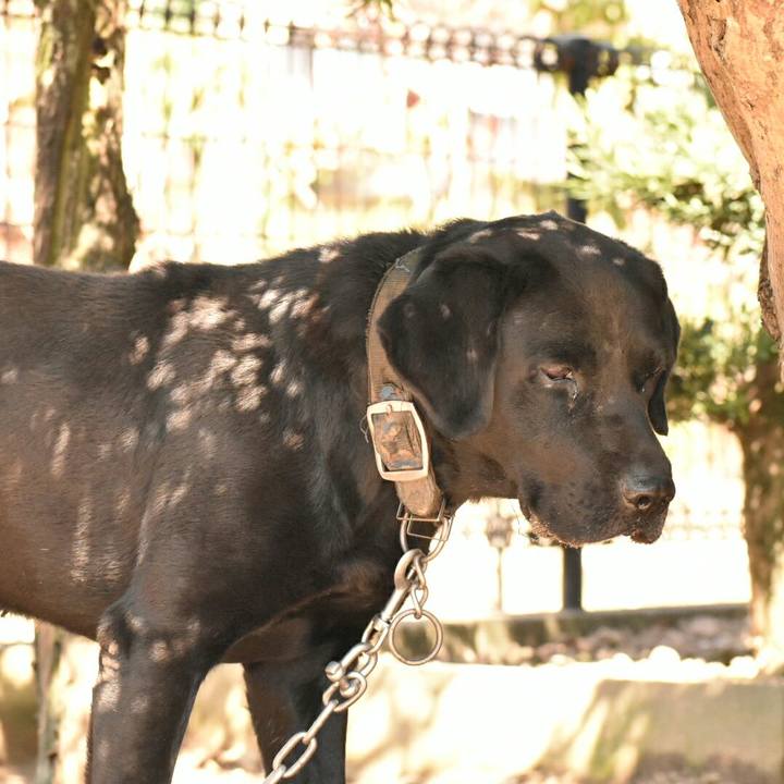 Fad4dfb2 8a4c 47c2 8967 16edb873cea8