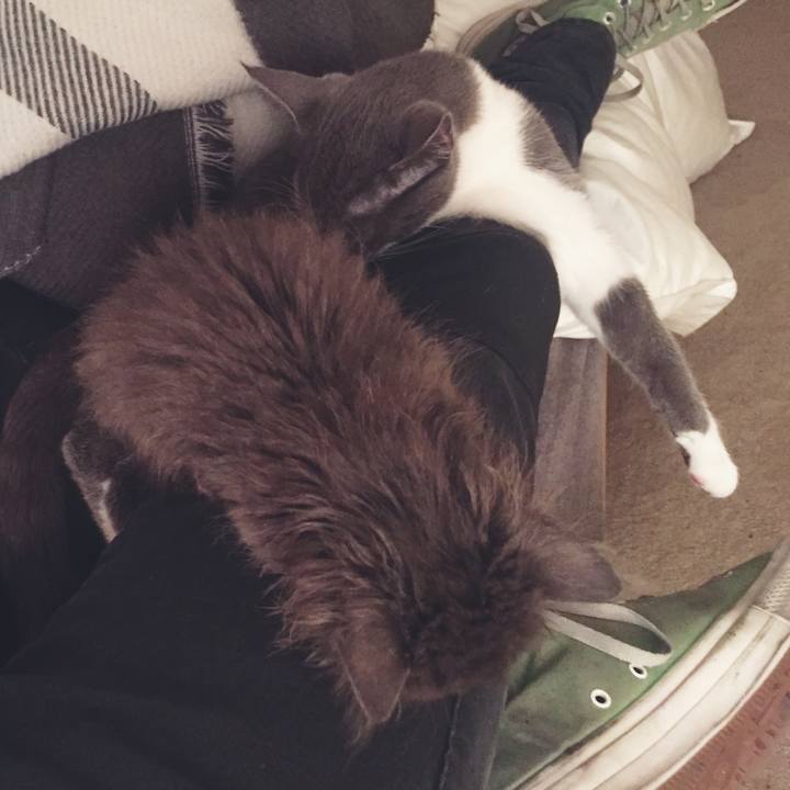 Fad56ba4 054c 4ef3 a32a 89fe968907c3