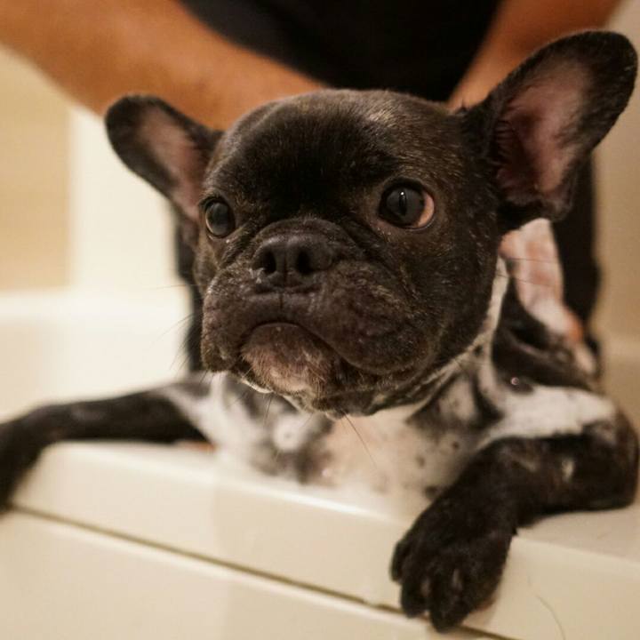 Fad6f74f aa86 4bd3 83d6 c0c28d8f2551