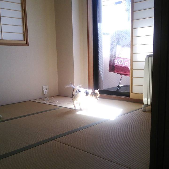 Fad74b30 cab4 4ebc 954c defce448cbad