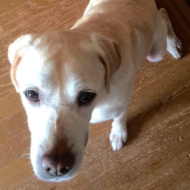 Fada9087 efe1 4700 8cb7 b4e7af2c262f