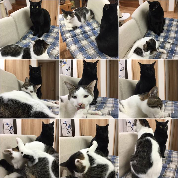 Fadadde2 19cc 4aa5 9bdd 3afa9f8f38a6