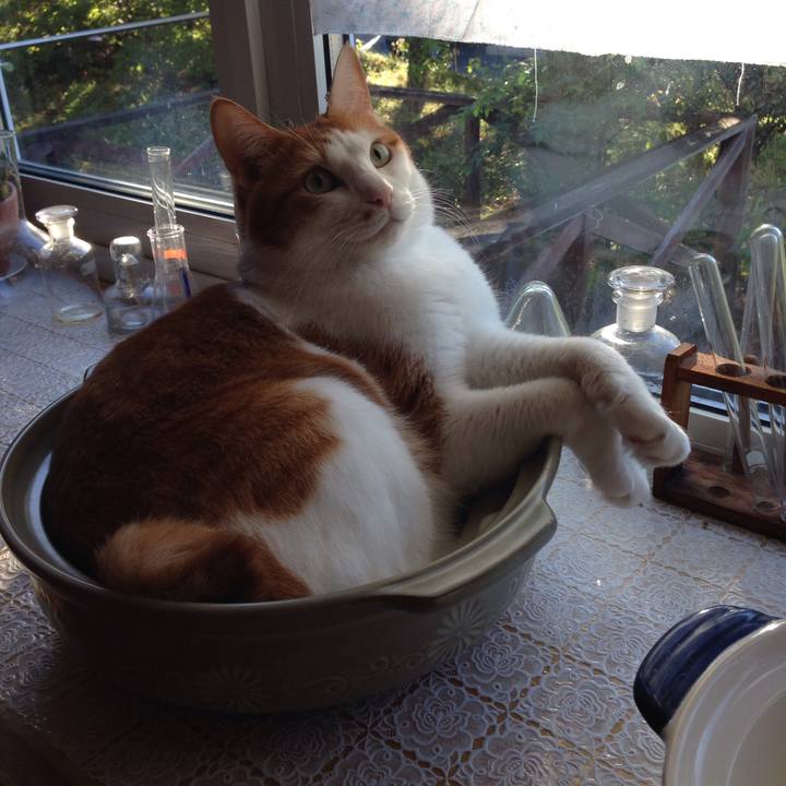 Fadb6535 ca01 4c00 968c c46a154e3070