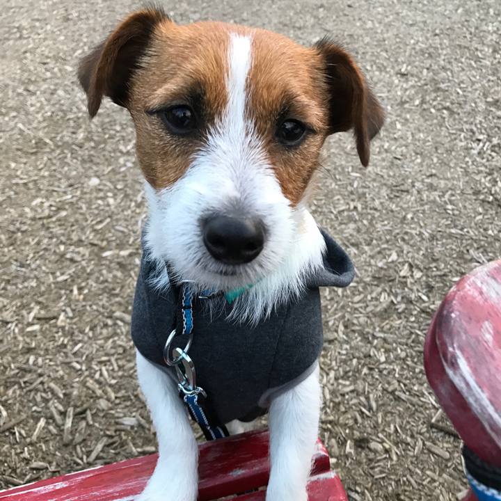 Fadb86c9 e2b5 46fe a07e ff08df77a334