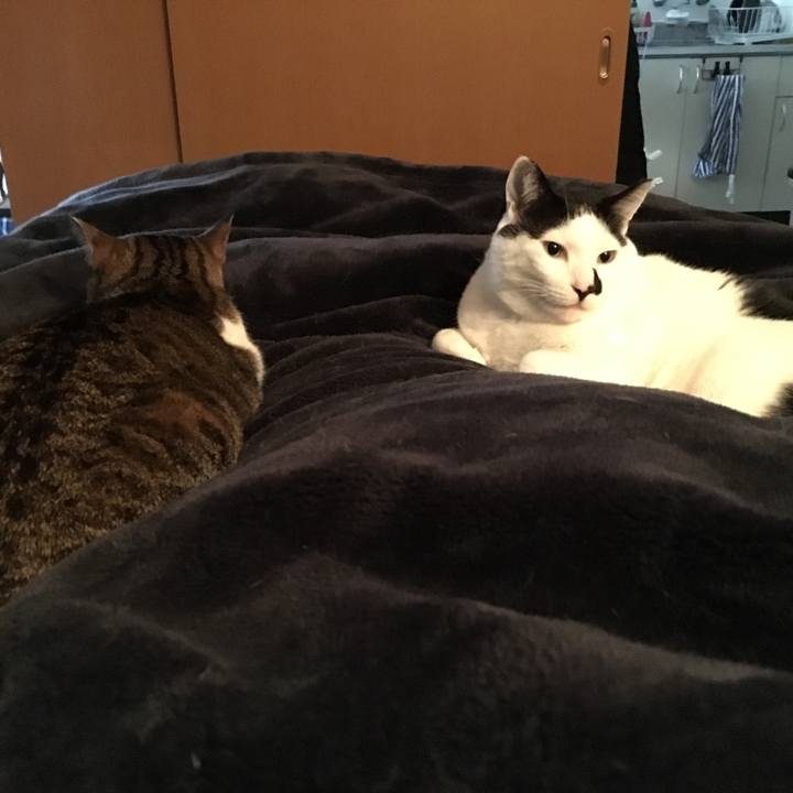 Fadbae71 1b85 4cc2 af37 e1335067db7a