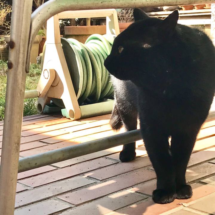 Fadc59c0 b113 46d9 9711 13d1baaefcbf