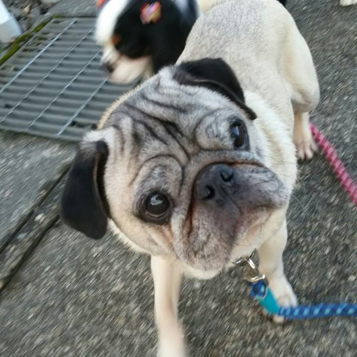 Faddf2d6 e3a7 4815 aa62 0261d66c7b43