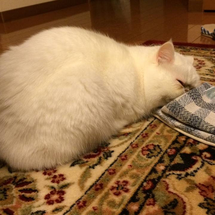 Fadeb563 40dc 4614 af0f c54404de7b39