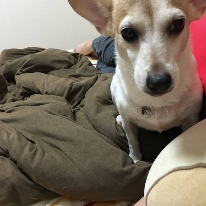 Fadedea2 bfed 45ea 9a7b d97867596d5a