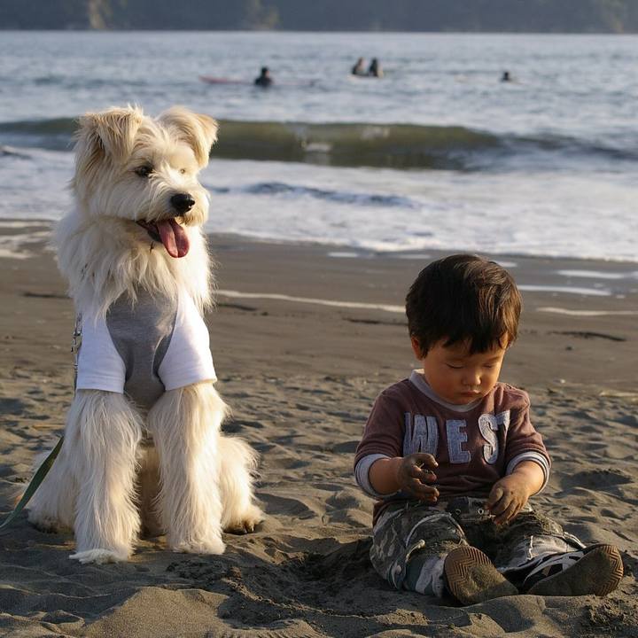 Fadf63ab 59b2 4519 8068 6187975eef7d