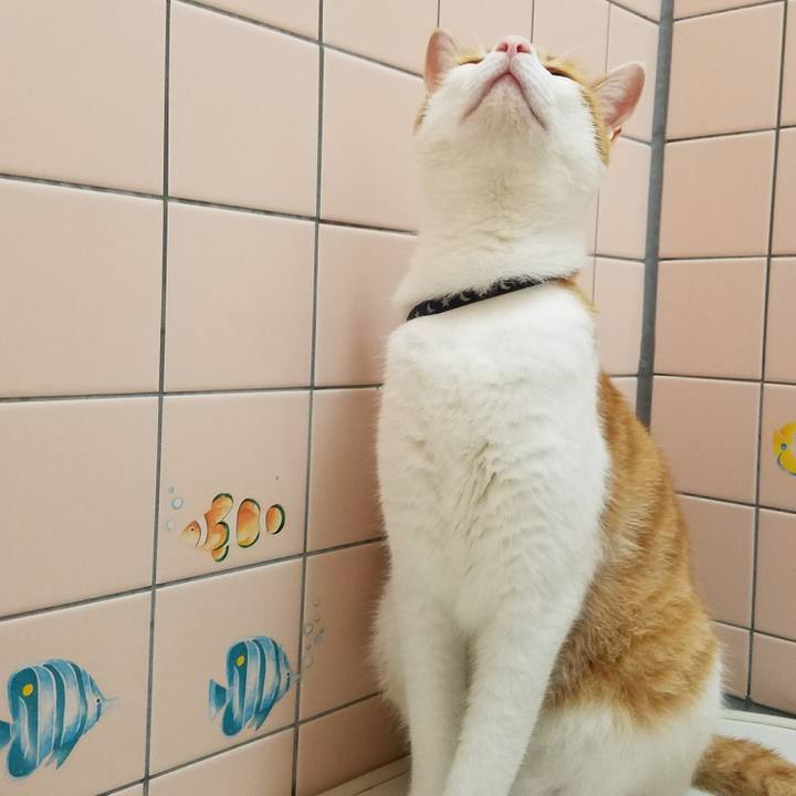 Fae069c5 5ba7 4921 8a43 0eacdff62a29