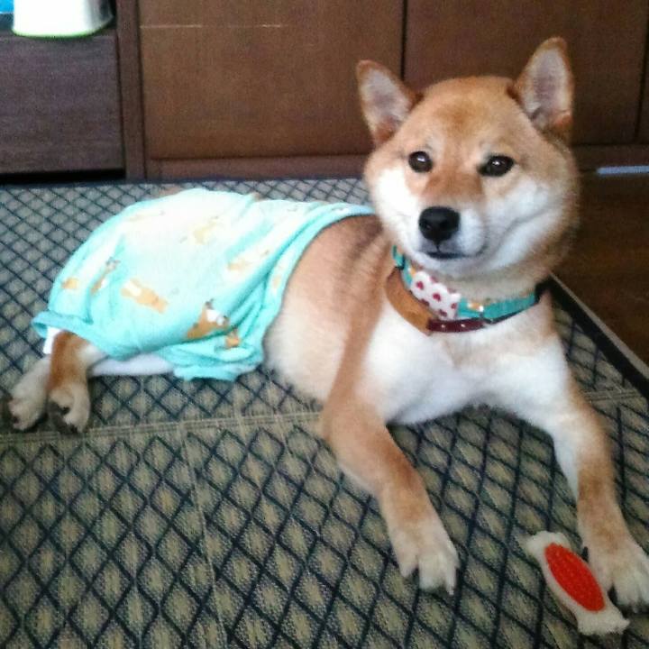 Fae0c32a 0c1d 45b6 aee4 0c7d43ff4bf2