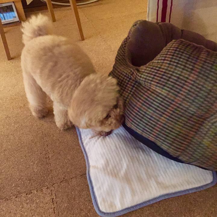 Fae1cfb9 df89 44d4 a8d7 ecc62ea0c2b2