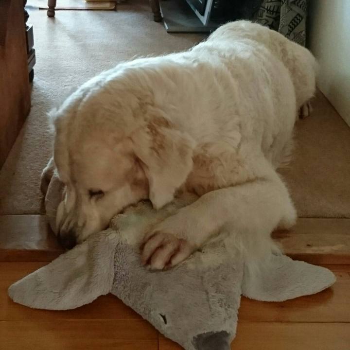 Fae22ee8 2109 4b95 9f14 08be7190e4b5