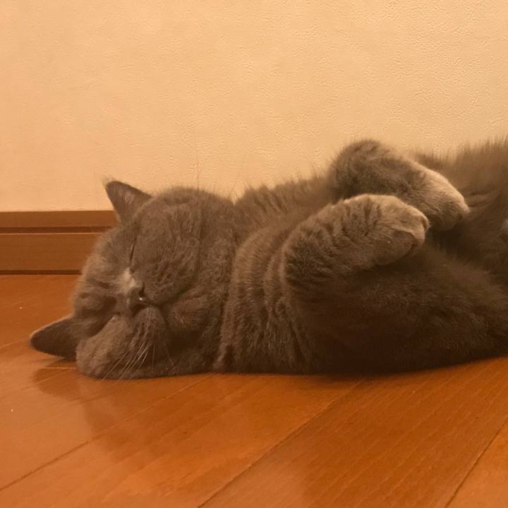 Fae310d6 68a8 42bb 8c55 aae638965faf