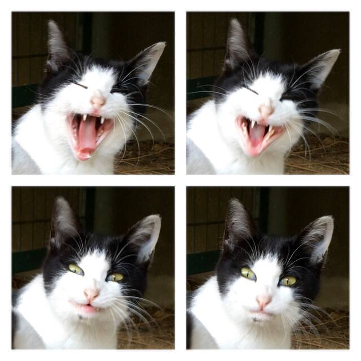 Fae34038 dd4a 488e 8f97 a364f885787b