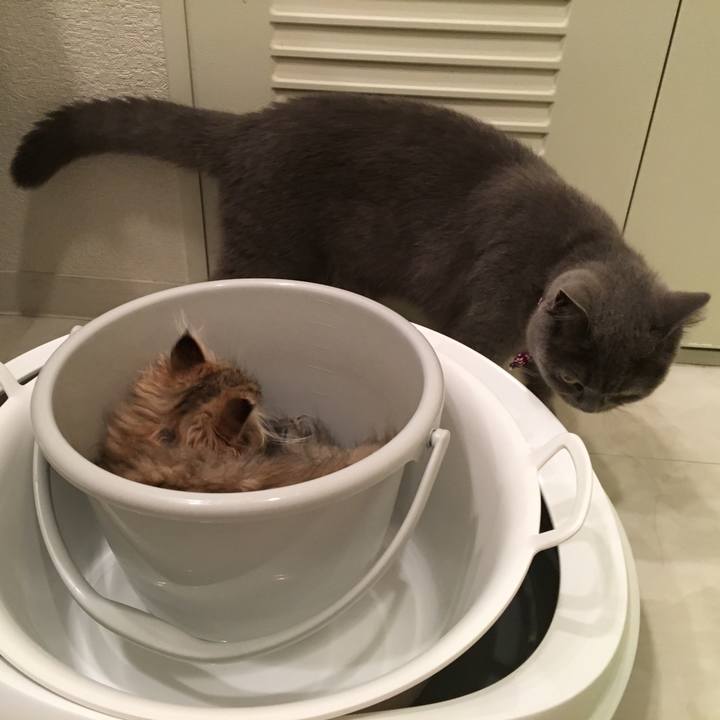 Fae34d36 3cab 4a3d bcfa 06f7167e1fa8