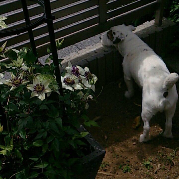 Fae3be76 0451 476e bde3 58be002dfe72