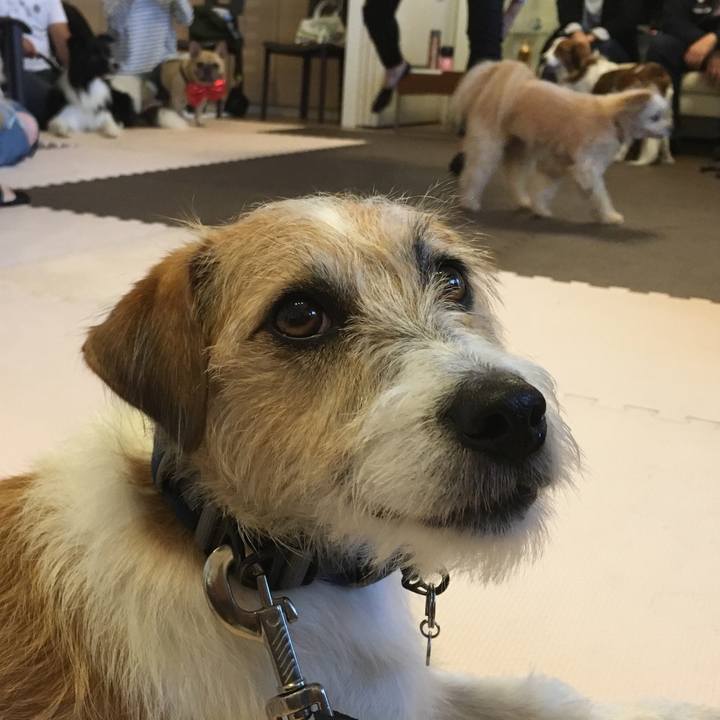 Fae3c1fb 53fc 41d9 bb09 d14b05172889