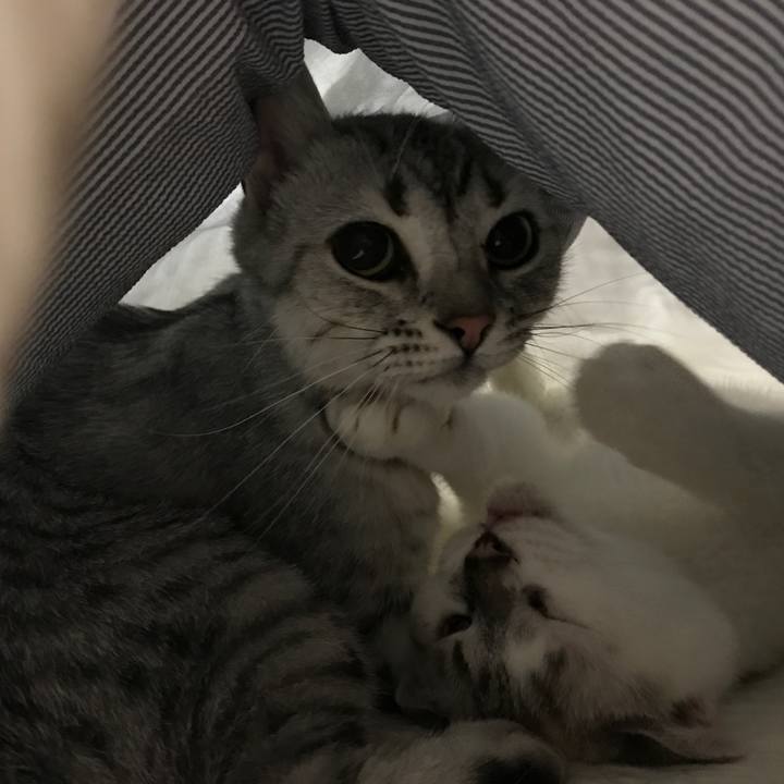 Fae418cf 3f27 459b 9dd3 feb5a5effc0c