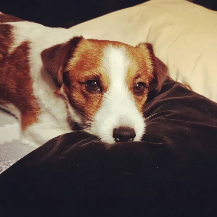 Fae473e3 eaef 448c 830d b9e6d90eddd7