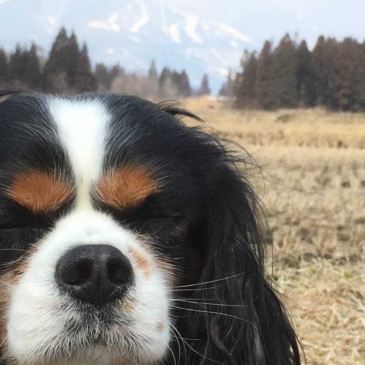 Fae4824c 8251 42e5 bc10 642fc80530b8