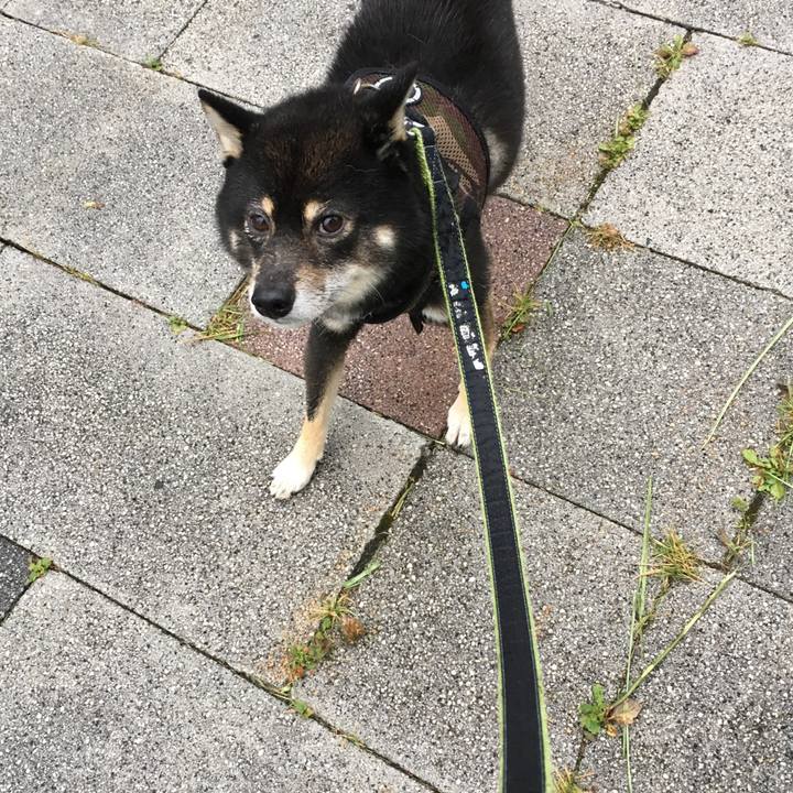 Fae529b4 6e03 4786 8054 28ae646e75e9