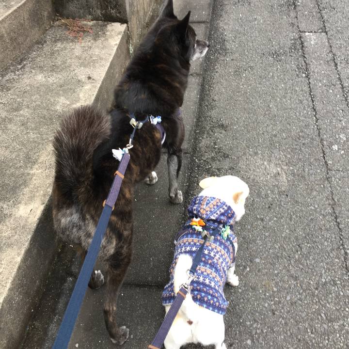 Fae63350 7a90 4d79 b698 5eb28ab06d24