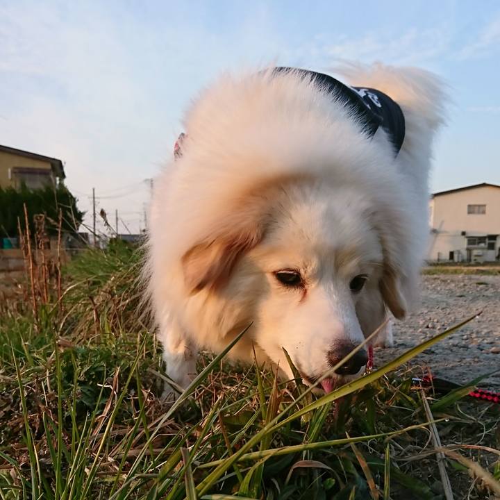 Fae6a81f fe49 4b69 bc59 1bd3844263de