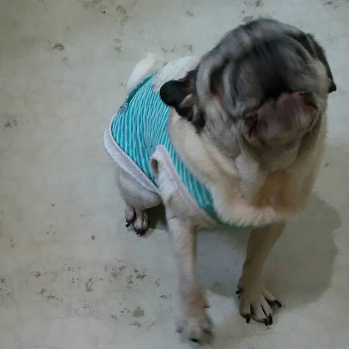 Fae6d0f2 a788 4422 823d 22dff756f50e