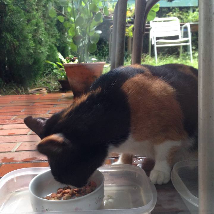 Fae70bb6 5652 4848 8f8e 2c65d058d107