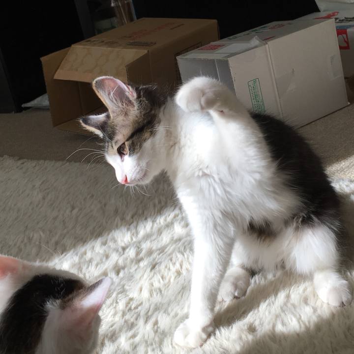 Fae83e9a 403f 4014 b48b 30d8d3126ede