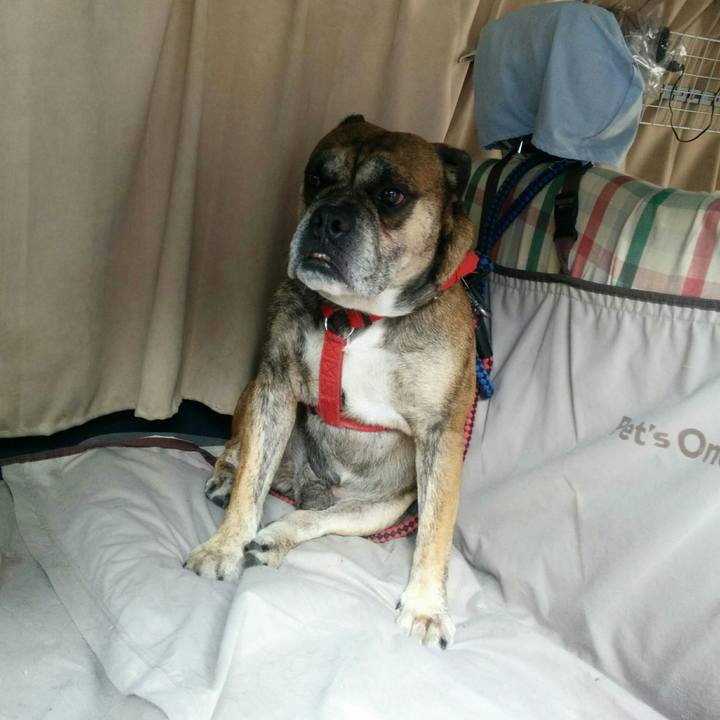 Fae870be 78d4 407f b35c d7a6076b0223