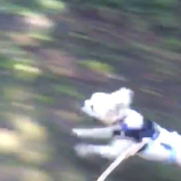 Fae89764 1406 477f a847 c18a71c0232f