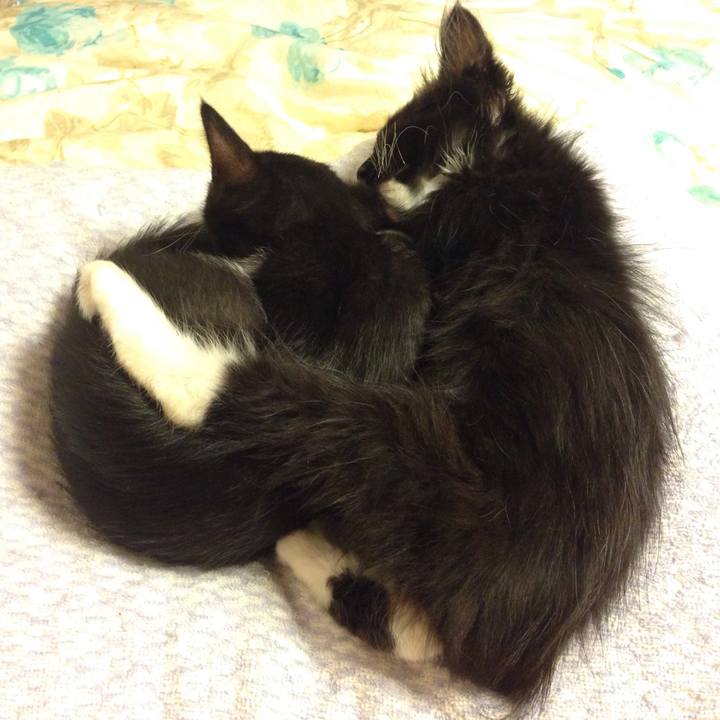 Fae91370 07d1 4c7d b0c3 5cafab5392a1