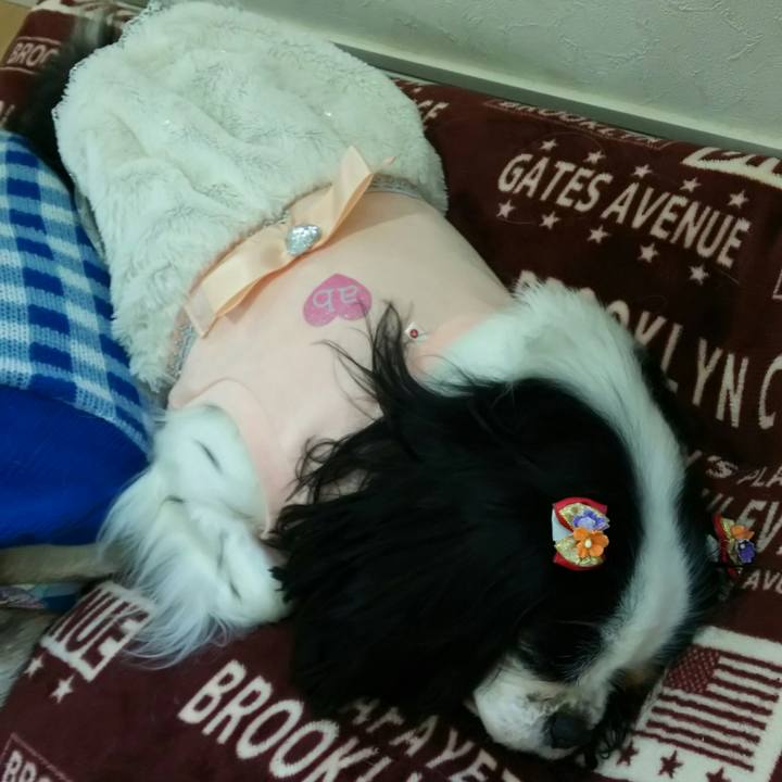 Fae97bea b56c 4fc4 b701 53edab4c837a