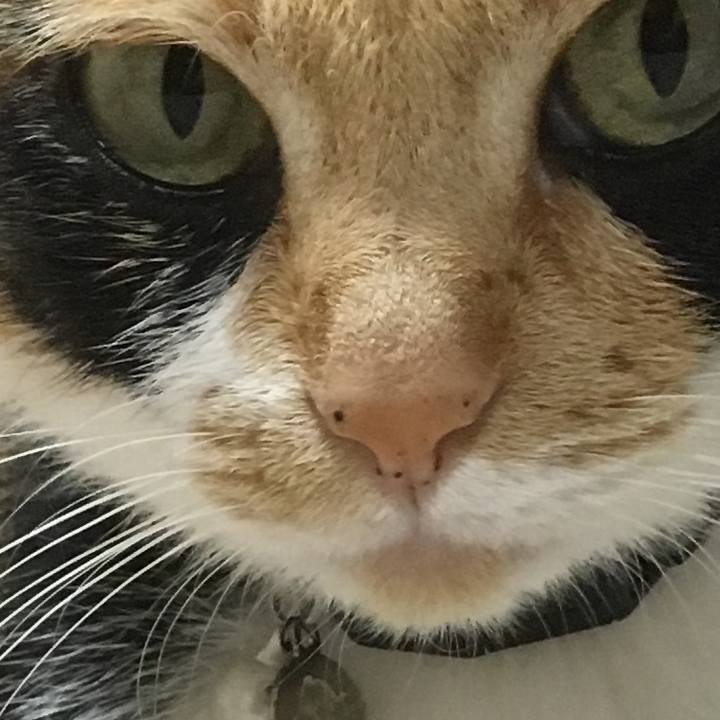 Faea2816 b6af 4ed2 ba07 a09440a50e83