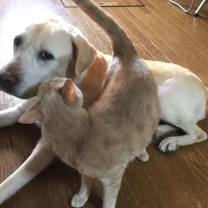 Faea5d3a e6a9 4b1c b8b1 10d780dd9374