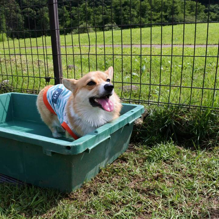 Faeb50c7 ec95 442e ad61 75b0e8cf0ae7