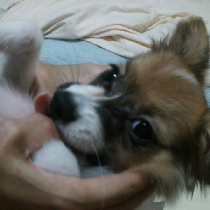 Faeb7063 62eb 4ccf a1ce 9ce94c513e52